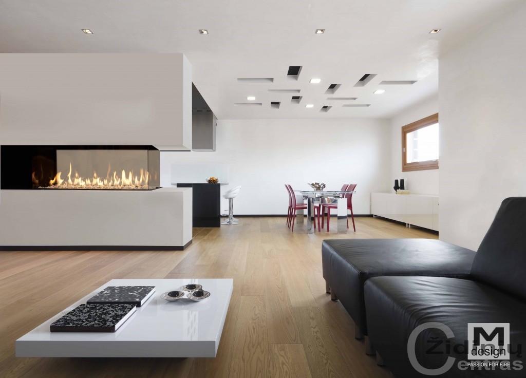 Židinys dujinis M-design Luna 1000RD Gas